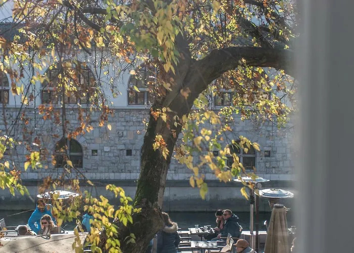 Apartamento River View *