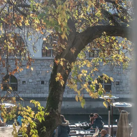 Apartment River View *